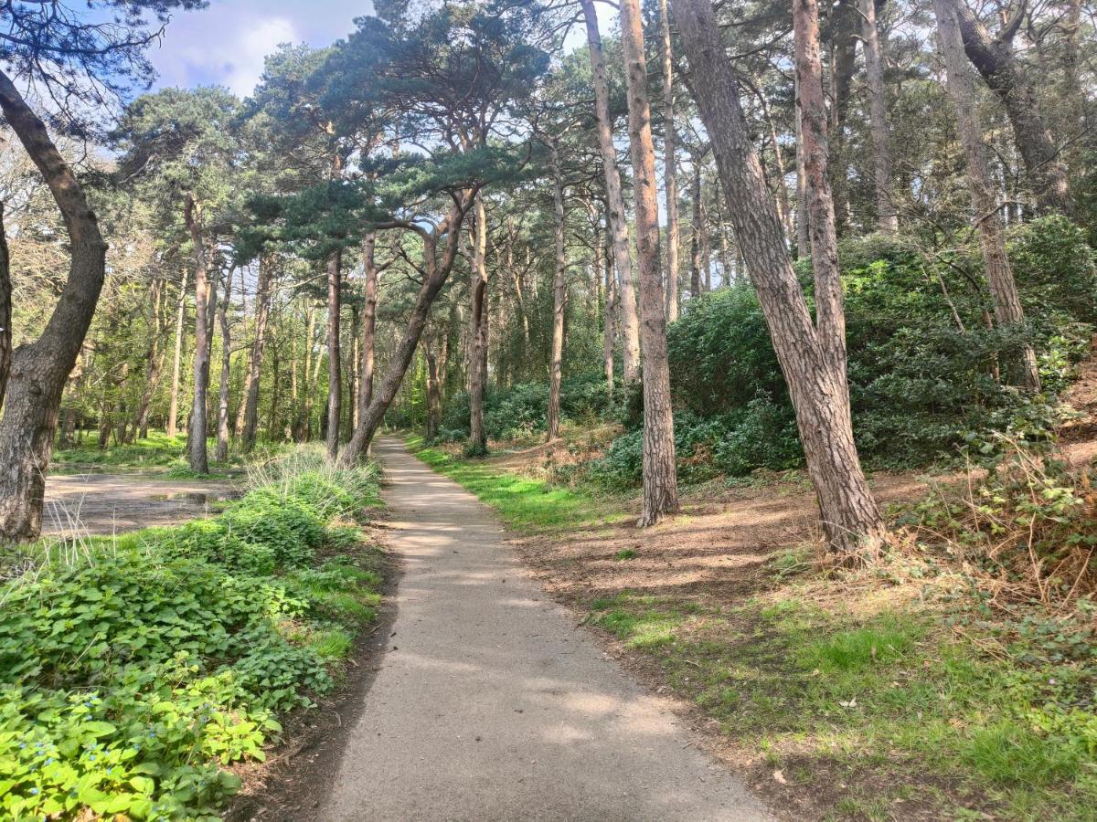 Peaceful Getaway In Forested Park Борнмът Екстериор снимка